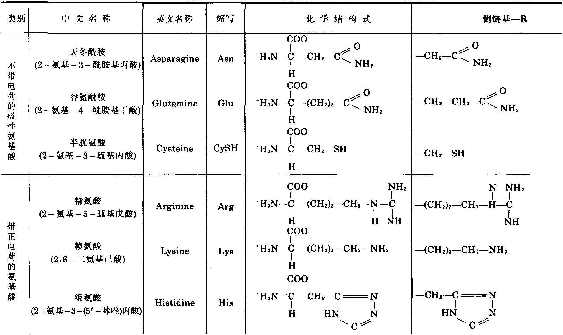 四、組成蛋白質(zhì)的氨基酸